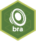 bra sound